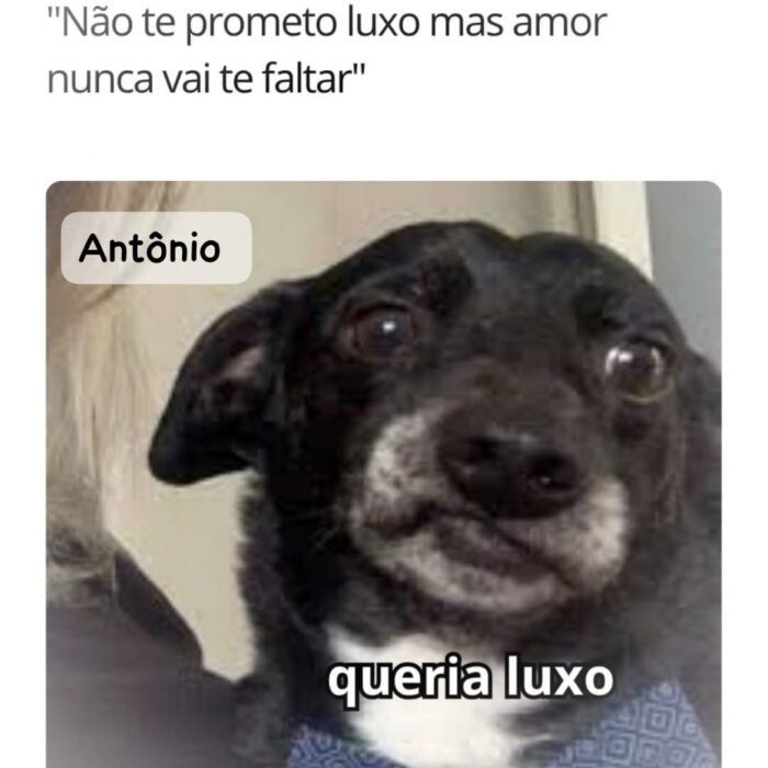 Viagens do Antônio