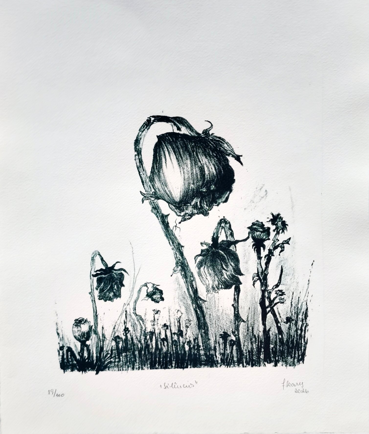 2026/09/1000612020.jpg